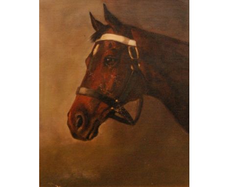 VIOLET THORNE SECKAM (ex.1909-1923) - A portrait of a horse, oil on canvas, signed, framed, 51cm x 41cm
