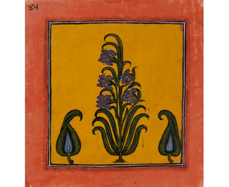 A botanical painting,Rajasthan, India, probably 19th centuryGouache on paper, with a flowering plant and two open flowers on 