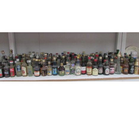 A shelf of miniature wines and spirits.