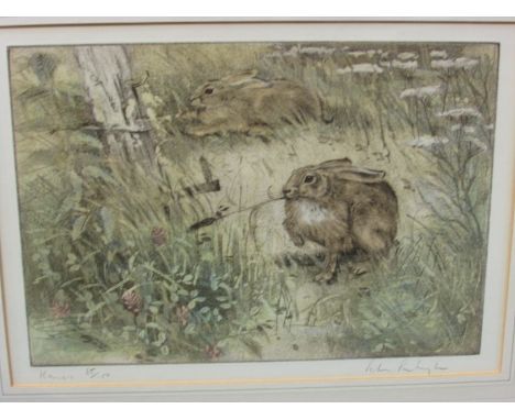 'Hares', coloured dry point etching, Peter Partington, limited edition numbered 65/150 and endorsed in pencil