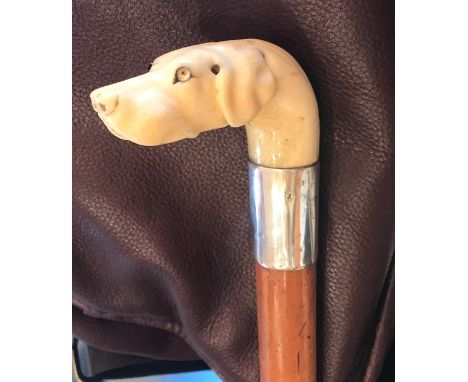 Early 19thC finely carved ivory handled walked stick depicting a dog, one glass eye missing 79.5cms 