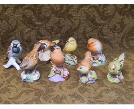 7 x Royal Worcester birds, Wren, Chaffinch, Hedge sparrow, Gold Crest, Robin, Wooded Warbler, Goldfinch together with a Goebe