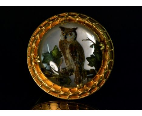  A Victorian/Edwardian rock crystal/intaglio glass brooch, reverse pained with an owl resting on a leafy branch, backed in mo