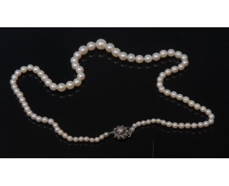 A graduated single strand cultured pearl necklace, old rose cut diamond floral compression clasp, indistinctly marked, 36cm l