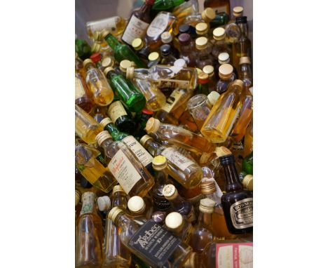 Large Quantity of miniature scotch whisky 