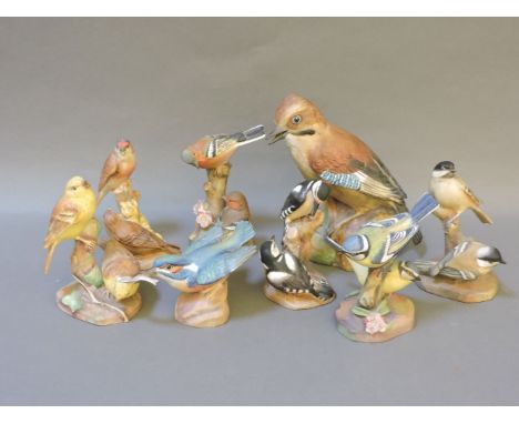 Eight Royal Worcester birds