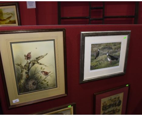 Colin Wilkinson, Study Of Birds, watercolour, signed, framed and glazed tog. with an ornithological print (2)