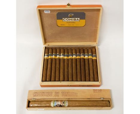 BOX OF COHIBA ESPLENDIDOS CIGARS 25 IN BOX &amp; LARGE TENERIFE CIGAR 323CMS LONG