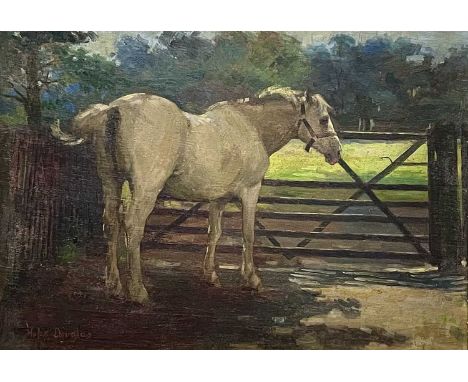 Hope Toulmin DOUGLAS (1883-?) White Stallion Oil on panel, Signed 25x35cmThis work appears to be in very good overall conditi
