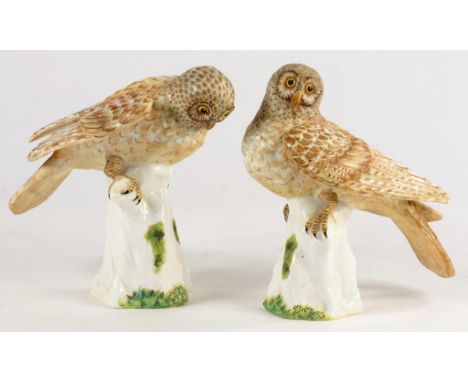 A PAIR OF CROWN STAFFORDSHIRE PORCELAIN MODELS OF HAWK OWLS, DESIGNED BY M DOUBELL MILLER, PERCHED ON A STUMP AND REALISTICAL