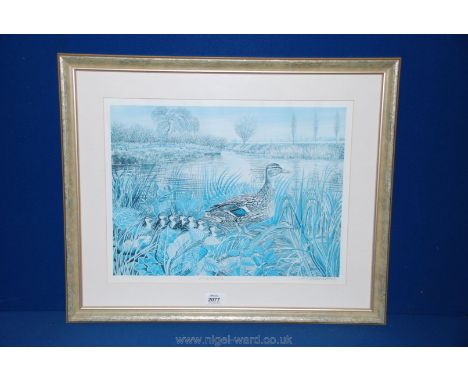 A framed and glazed coloured print of Ducks, entitled 'Mallards'