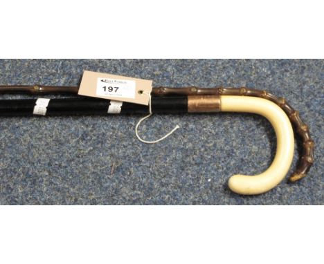 Ebony ivory handled walking cane with 9ct gold presentation band together with a light weight cane. (2)