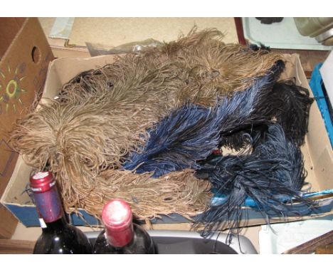 Box of assorted vintage coloured feathers.