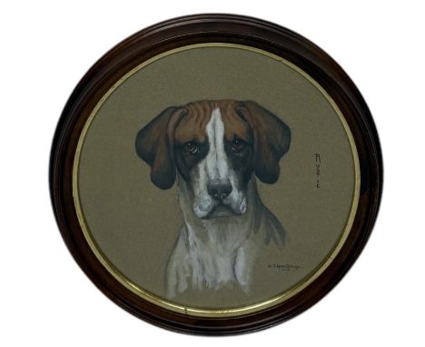 W. J. BILLINGE (BRITISH): A WATERCOLOUR PORTRAIT OF A HOUND, TITLED "RUSTIC"Signed and date 1914. Framed and glazed 28 cm D.