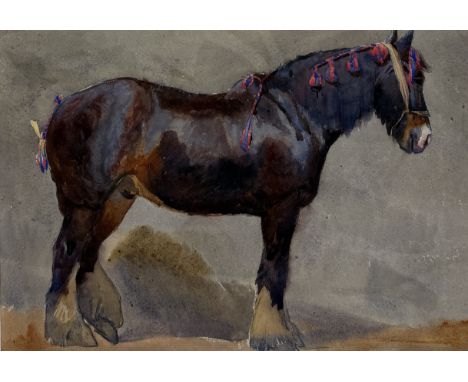 ALFRED CROWDY LOVETT C.B.E (BRITISH 1862-1919): A WATERCOLOUR PAINTING ON PAPER DEPICTING A PORTRAIT OF A SHIRE WAR HORSE USE