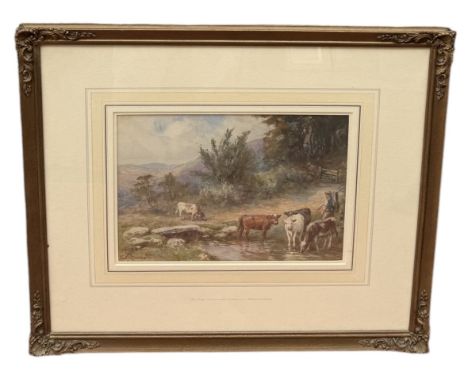 FRED G KNOWLES: A WATERCOLOUR PAINTING DEPICTING CATTLE, MONTGOMERYCobham Galleries, circa 1980's.
