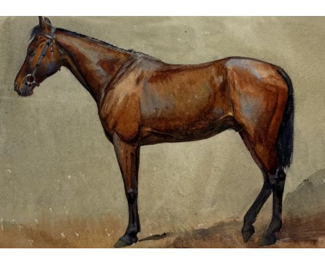 ALFRED CROWDY LOVETT C.B.E (BRITISH 1862-1919): A WATERCOLOUR PAINTING ON PAPER DEPICTING A MILITARY CHESTNUT HORSE USED BY T