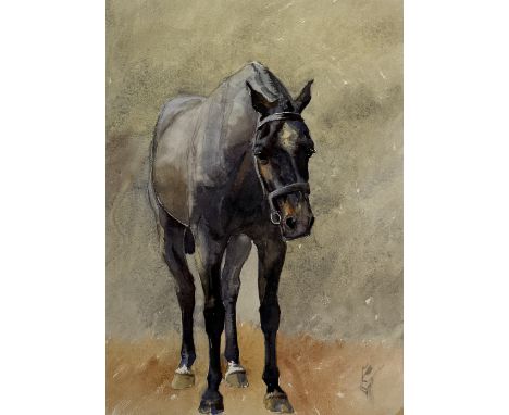 ALFRED CROWDY LOVETT C.B.E (BRITISH 1862-1919): A WATERCOLOUR PAINTING ON PAPER DEPICTING A GREY MILITARY HORSE USED BY THE I