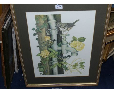 A framed and mounted Michael N. Oxenham Limited Edition Print no: 170/500, depicting wild birds sat around a garden water tap
