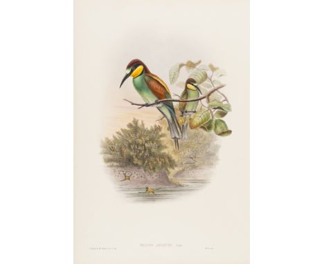Birds.- Gould (John) and H.C. Richter &amp; J. Wolf. Merops Apiaster (European bee-eater), from Gould's 'Birds of Great Brita