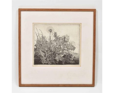 Etching, 1972. Titled in plate, signed in pencil lower margin right and 'proefdruk' in pencil lower margin left. Professional