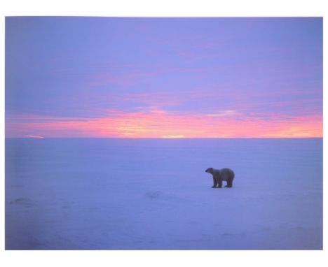 Thomas D Magnelsen (photographs), Fred Bruemmer, Polar Dance: Born of the North Wind, Images of Nature, Omaha, New England, 1