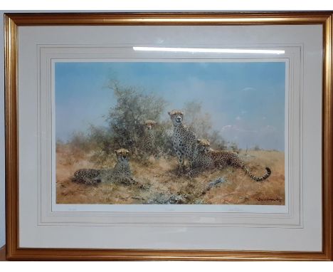 David Shepherd Limited edition, signed and numbered print "Cheetah" (46x71 cm).