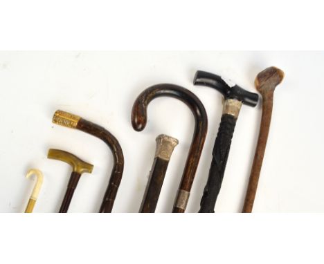 A collection of walking sticks including a bog oak example carved with shamrocks and a harp, with silver collar, another exam