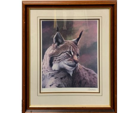 A framed print of a lynx by Andrew Hutchinson, limited edition 168 / 375, framed 67 x 58cm.