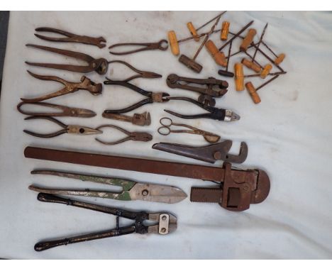A COLLECTION OF HAND TOOLS and gimlets
