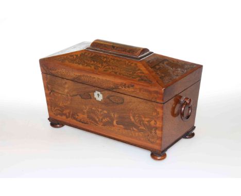 19th Century inlaid mahogany sarcophagus tea caddy on bun feet