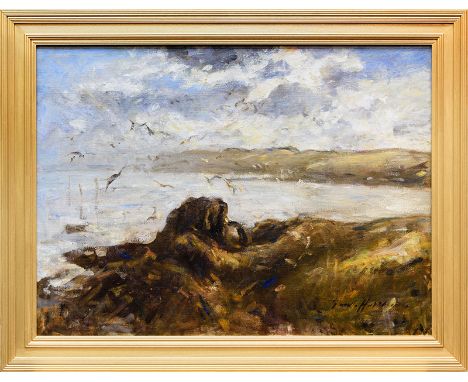 ROBERT GEMMELL HUTCHISON RSA RSW RBA ROI (SCOTTISH 1855 - 1936), GULLS AT ST ABBS oil on canvas, signed 76.2cm x 101.6cm (30 