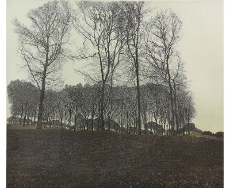 Phil Greenwood (British, b.1943) Limited edition print  'Winter Light', signed in pencil dated 78, 46cm x 54cm.       