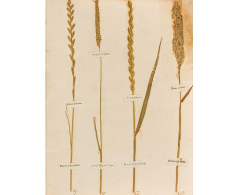 Grasses.- Amos (William) Minutes in Agriculture and Planting...Illustrated with Specimens, first edition, leaves of grass sam