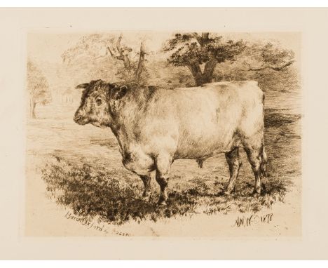 Cattle.- Williams (A. M.) Etchings of Celebrated Shorthorns, 15 etched plates with tissue-guards, margins slightly toned, som