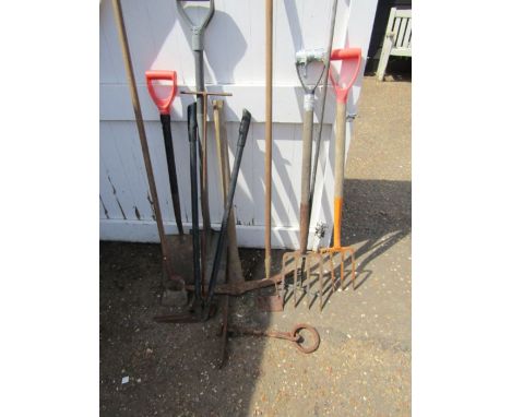 Various garden tools