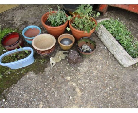 Trough and various plant pots