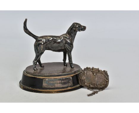 A GEORGE V SILVER FIGURE OF A FOXHOUND STANDING, on an oval base mounted on an ebonised wooden plinth bearing silver presenta