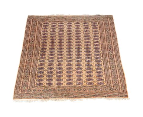  A Bokhara carpet,   of gold colour, approximately ,  together with an Afghan rug,   approximately 165 x 108cm 