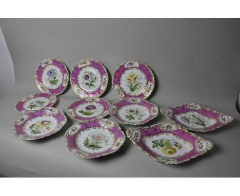 Collection of Coalport porcelain, 10 pieces in total, pink ground with botanical painting, 2 lozenge plates, 3 square plates 