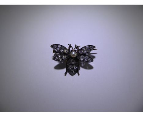 A Victorian 9ct Yellow Gold and Silver  Diamond, Ruby and Pearl Insect Brooch, the brooch having cabachon ruby eyes with pear