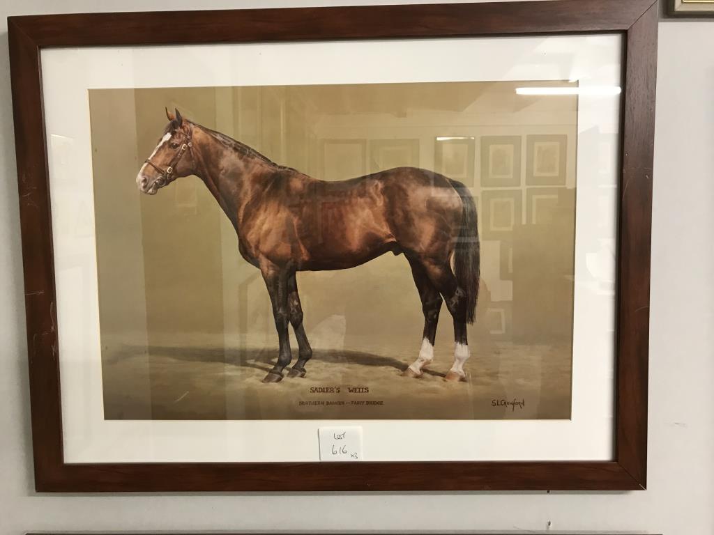 2 framed & glazed racehorse prints 'Northern Dancer' & 'Saddlers Wells