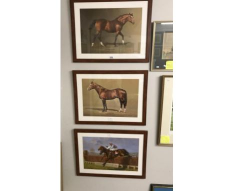 2 framed & glazed racehorse prints 'Northern Dancer' & 'Saddlers Wells'. Artist S.L. Crawford & a framed & glazed 'Cheltenham