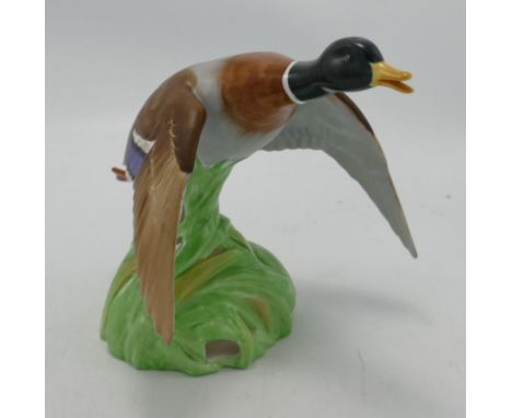 Spode Matt Mallard Settling Figure: height 15.cm 