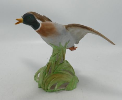 Spode Matt Mallard Rising Figure: height 15.cm 