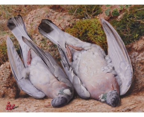 JOHN SHERRIN (BRITISH, 1819-1896) (2)Pigeons
signed 'J Sherrin' (lower right)
watercolour and bodycolour
30 x 41cm
together w