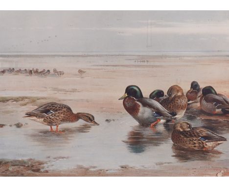 ARCHIBALD THORBURN (BRITISH, 1860-1935) (5)Mallard on the shore
signed 'Archibald Thorburn' (in lower margin), published by W