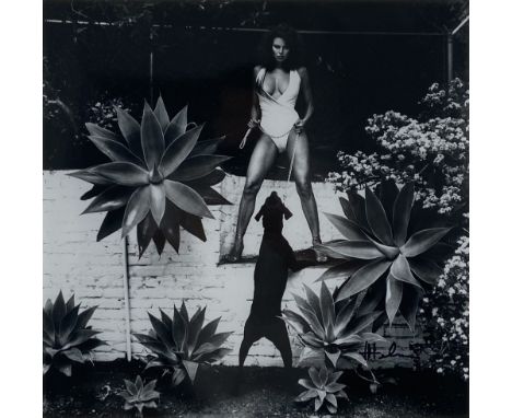 Artist: Helmut Newton (German/Australian, 1920-2004). Title: "Raquel Welch in Her Backyard, Beverly Hills [medium format]". M