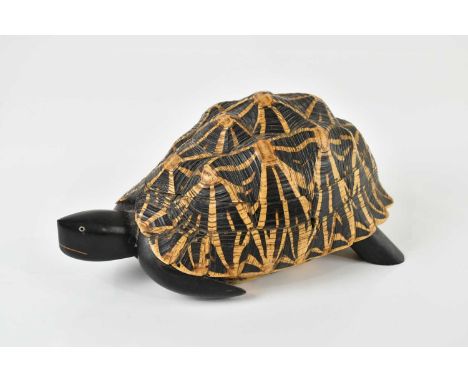 An early 20th century Indian Star tortoise trinket box, with hinged lid and inlaid interior, width 27cm.