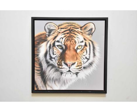 DARRYN EGGLETON; a signed limited edition print, 'The Patriarch', 80/195, signed lower left, 86 x 86cm, framed.Condition Repo